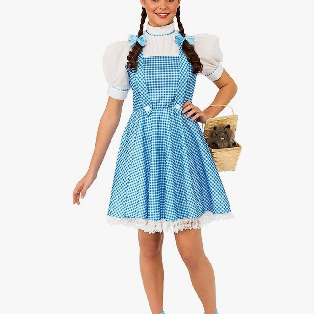 New without tags Dorthy Dress